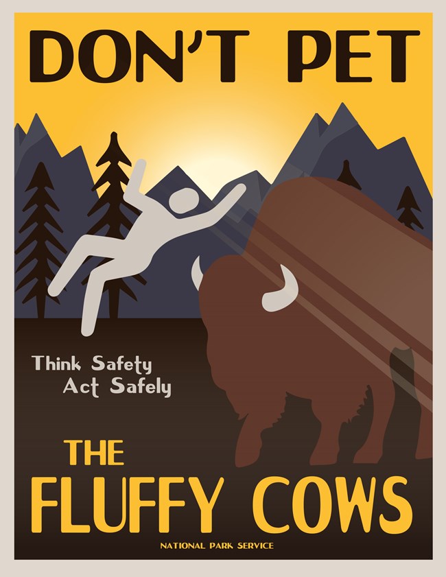 National Park Service Message -Don't Pet Fluffy Cows Illustration featuring mountains, trees, and a bison and person in close contact with the text, “Don’t pet the fluffy cows,” and “think safety, act safely.” NPS