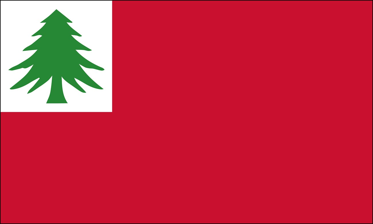 A flag with a red field and a white square in the top left corner. A pine tree is in the white square.