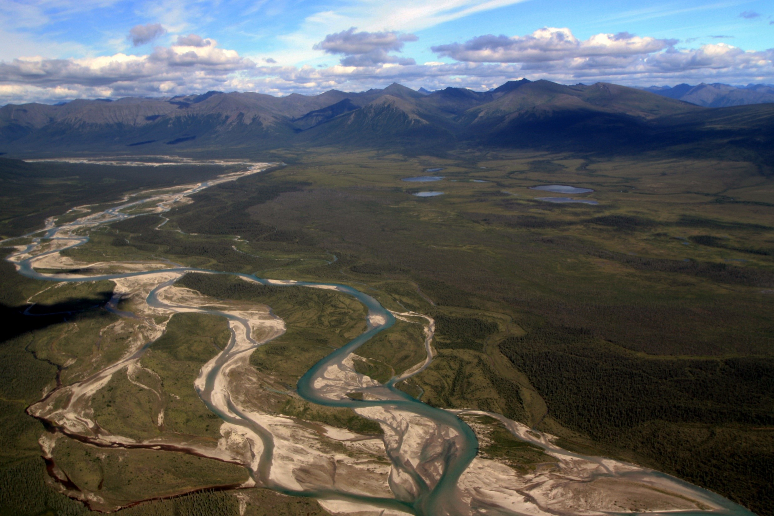 Stream Communities & Ecosystems Resource Brief for the Arctic