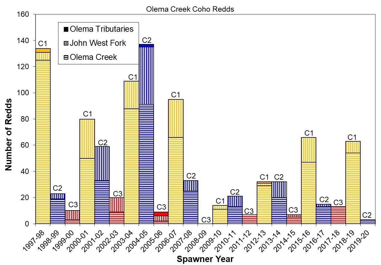 Bar graph of coho redd counts since 1997-98 showing that this winter's cohort produced a smaller number of redds compared to the previous time fish of the same cohort spawned.