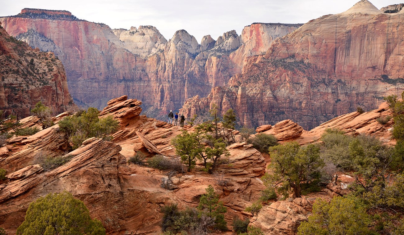 Three hikers looking out over the rocky landscape from the Overlook Trail in Zion.