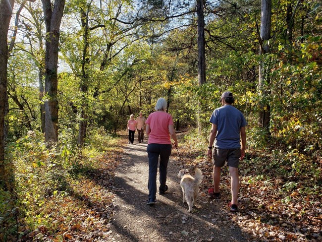 A group of hikers, one with a dog on a leash when backs turned headed down a paved trail through the woods during fall with another two hikers headed toward them.