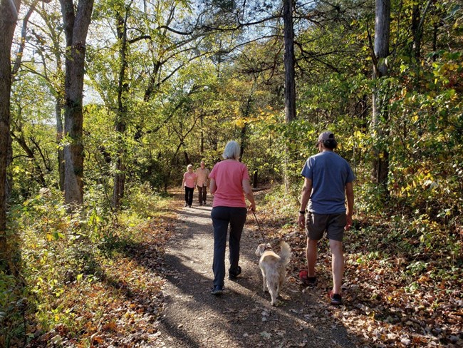 Wellness Challenge A group of hikers, one with a dog on a leash when backs turned headed down a paved trail through the woods during fall with another two hikers headed toward them.