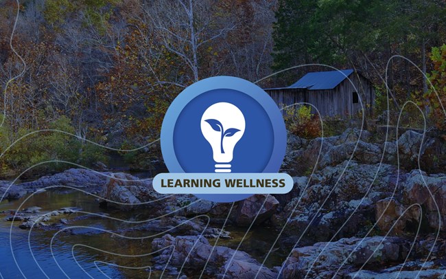 a circular blue graphic with a lightbulb containing a plant in the center and the words Learning Wellness, graphic is on top of blue tinted photo of Klepzig mill on top of boulders and a creek flowing through the middle.