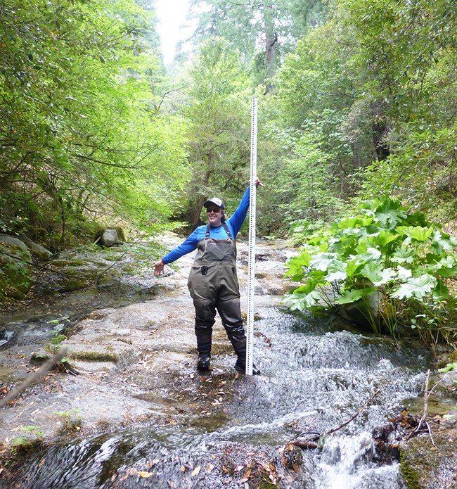 Technician stands in shallow stream holding a tall measurement pole.