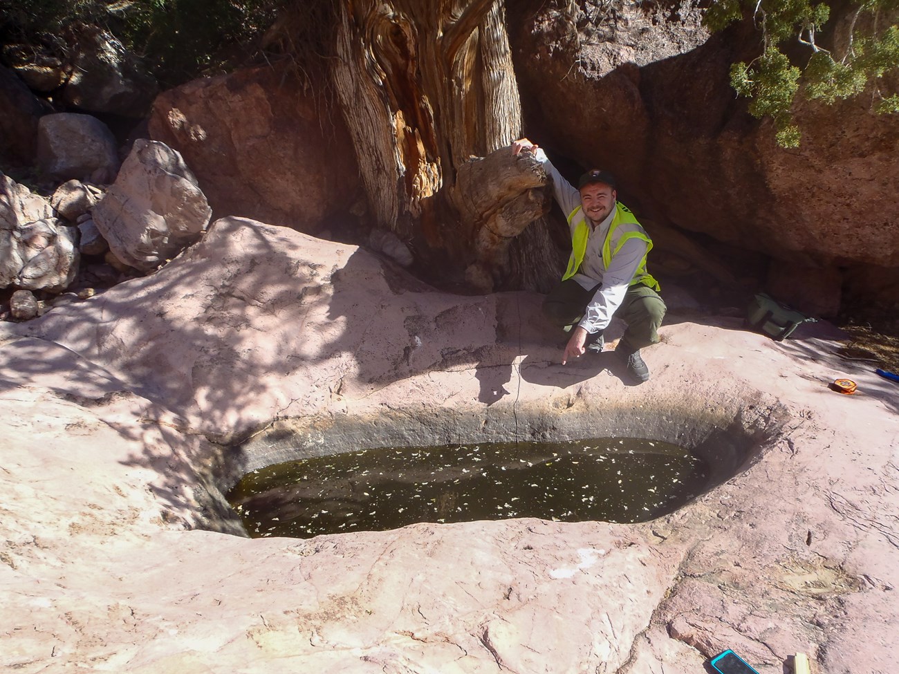 A man steadies himself on a thick tree trunk while crouching down and pointing into a pool of water that lies in an eroded-out depression in tan bedrock.