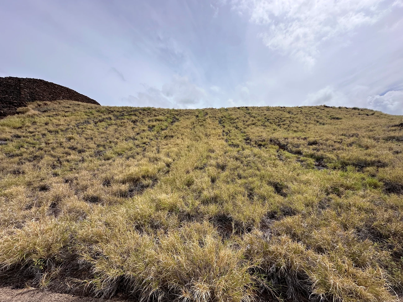 Pili grass hill at PUHE Pili grass hill