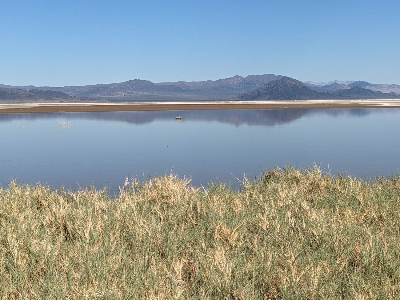 An expanse of shallow water is a temporary lake in the Mojave Desert, reflecting mountains on the opposite lakeshore..