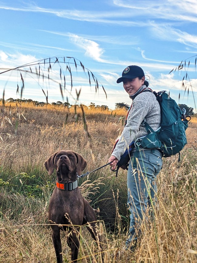 Person in a National Park Service volunteer hat holding a brown dog on a leash as it faces the camera and sniffs up into the air.