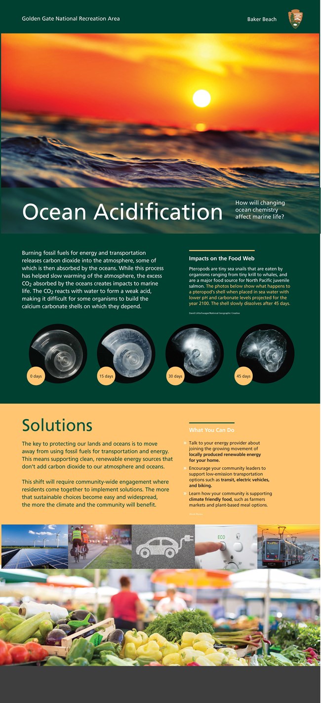 Brochure showing information about Ocean Acidification