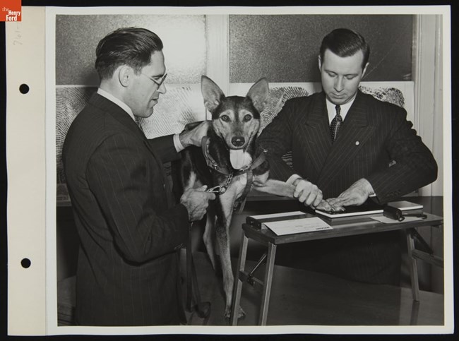 Two white men in pinstriped suits help a black dog with light markings, pointed ears, and a hanging tongue, to stamp his pawprint. The man at left wears glasses and holds the dog in place while the man at right presses the dog’s front paw on an ink pad.