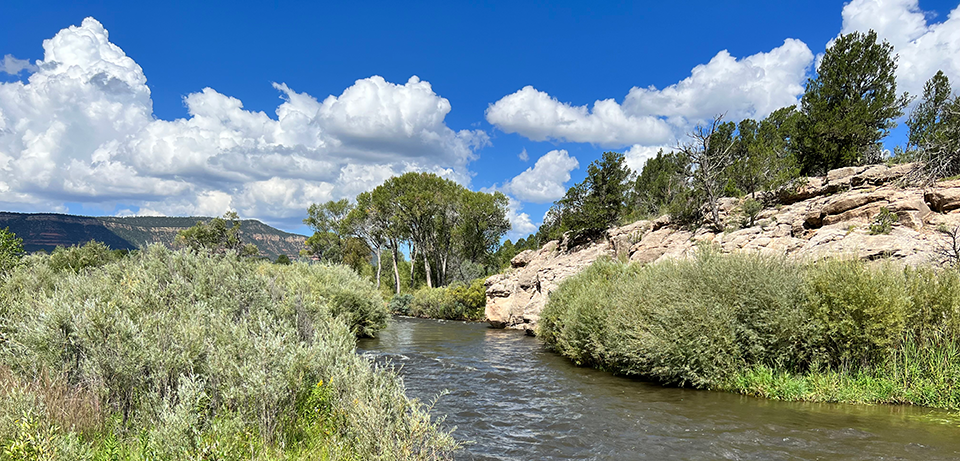 A full river flows with green vegetation on either side. Exposed bedrock hangs over the water on the right.