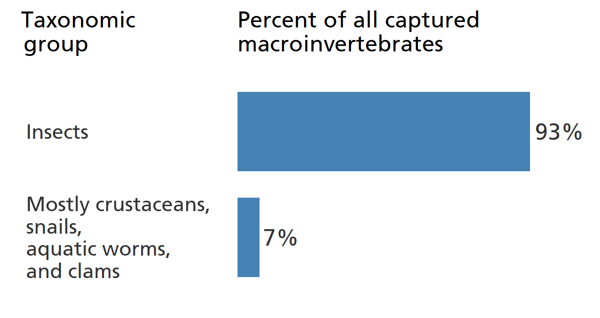 Blue bar chart showing insects make up 93% of the park's benthic macroinvertebrate community.