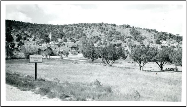 Part of the historic Lehman Orchard circa 1930