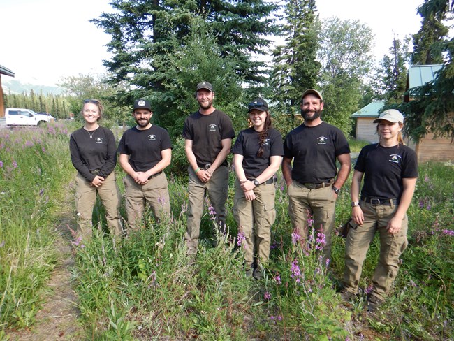 NPS Alaska Western Area fuels crew thinned trees and removed flammable vegetation at Denali front country and back country structures in 2021.