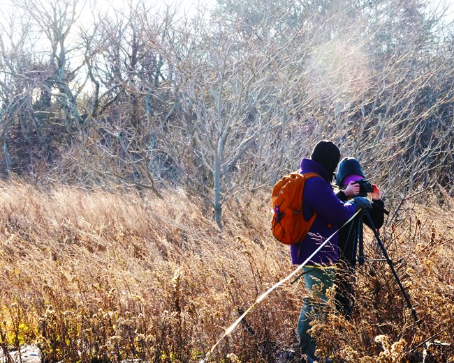 Two young adults stand up to their waists in understory vegetation. One team member sets up a camera on a tripod while the other uses transect tape to measure the distance from the tripod to the photo point, which is out of frame.
