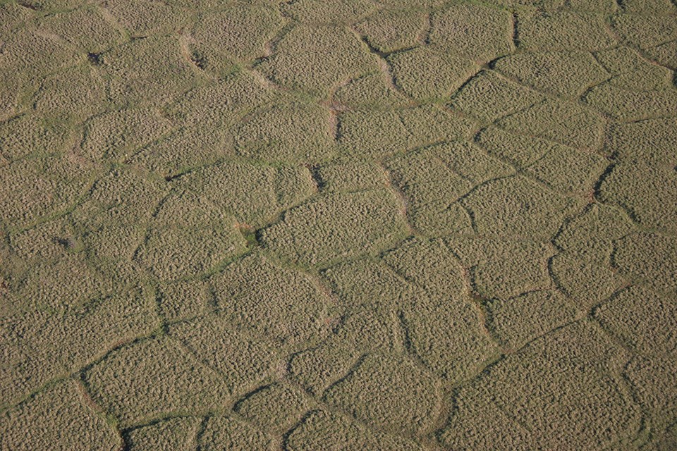An aerial image of the striking polygonal patterned ground so characteristic of the Arctic is due to permafrost.