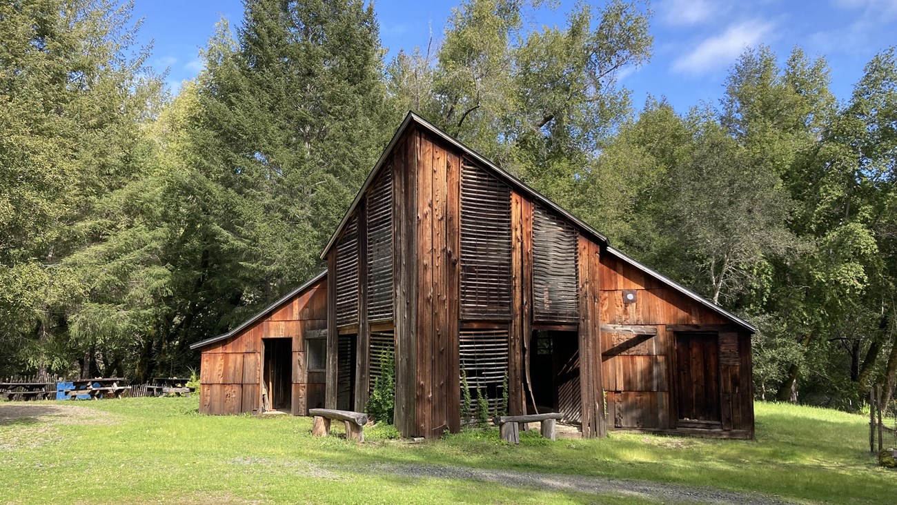 Barn with central, steeped roof made of redwood, sits in grass amidst trees.