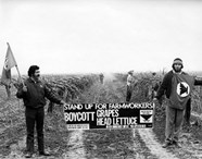 Thirty Years Of Farmworker Struggle U S National Park Service 