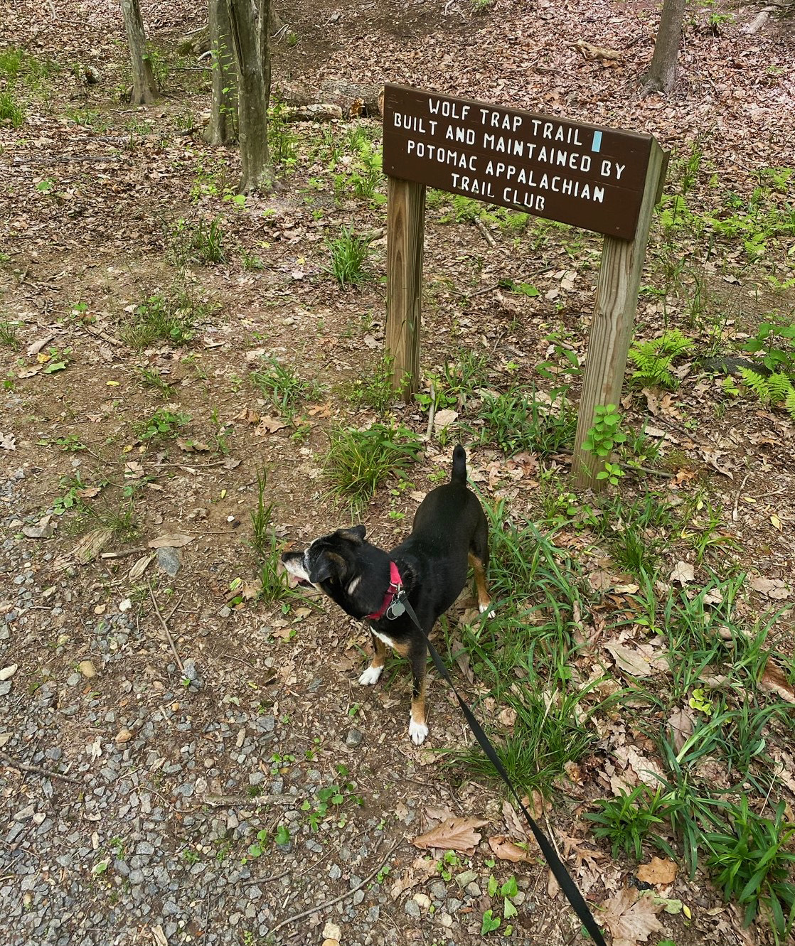 B.A.R.K. Ranger Activity Checklist (U.S. National Park Service)