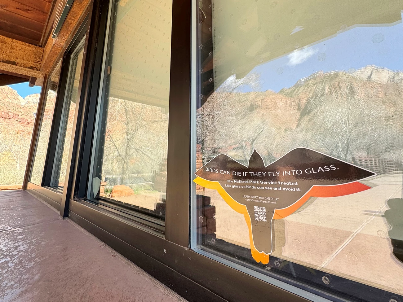 Zion visitor window sign Flying bird-shaped window cling that reads "Birds can die if they fly into glass. The National Park Service treated this glass so birds can see it and avoid it. Learn what you can do at go.nps.gov/BirdFriendlyWindows." Dots are barely visible around it.