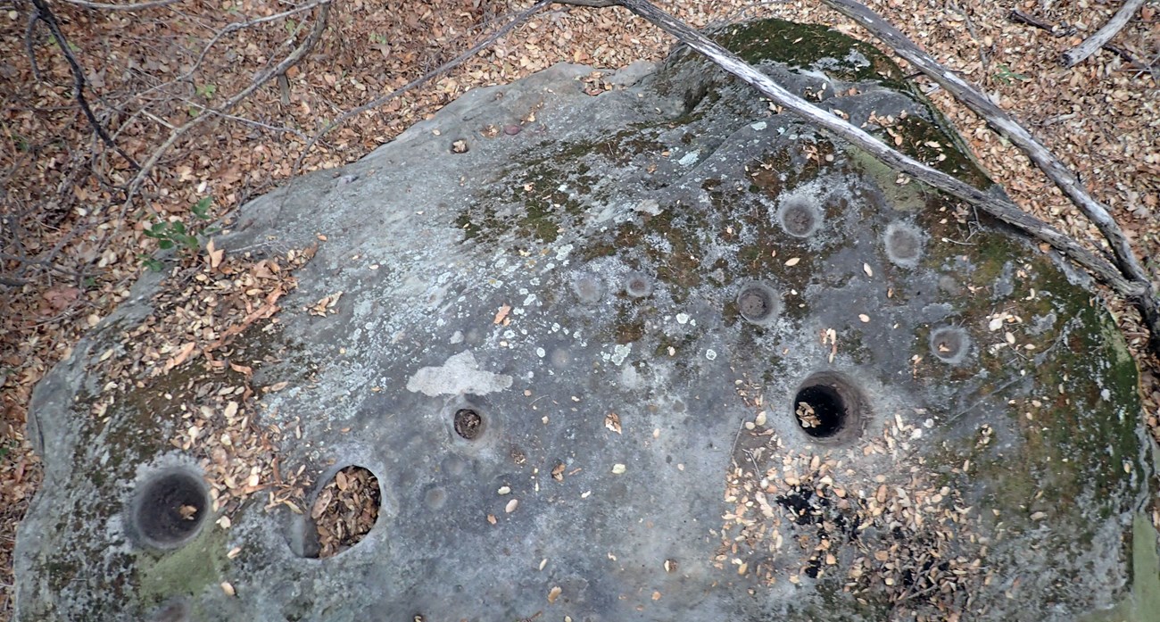 Deep cylindrical holes worn into the surface of a rock over years of use.
