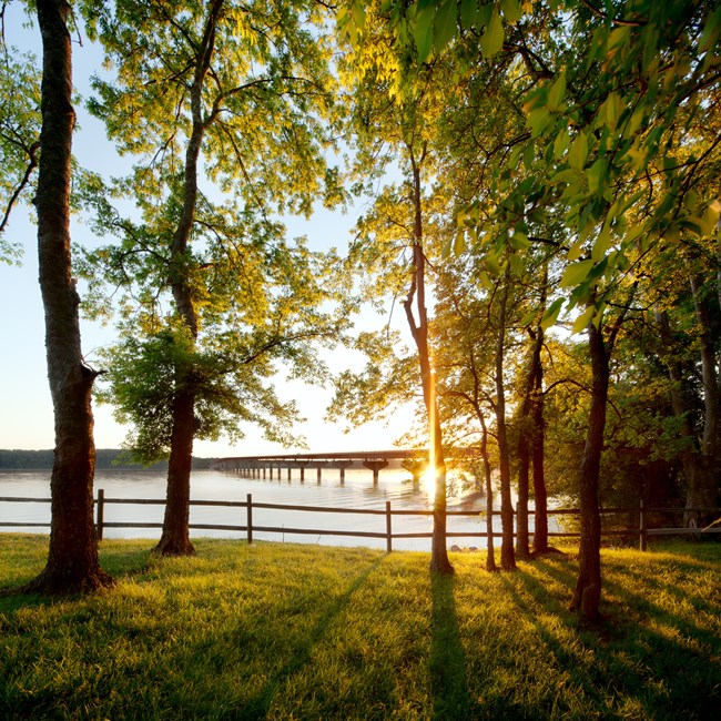 A view of a long bridge over a river lined with trees.