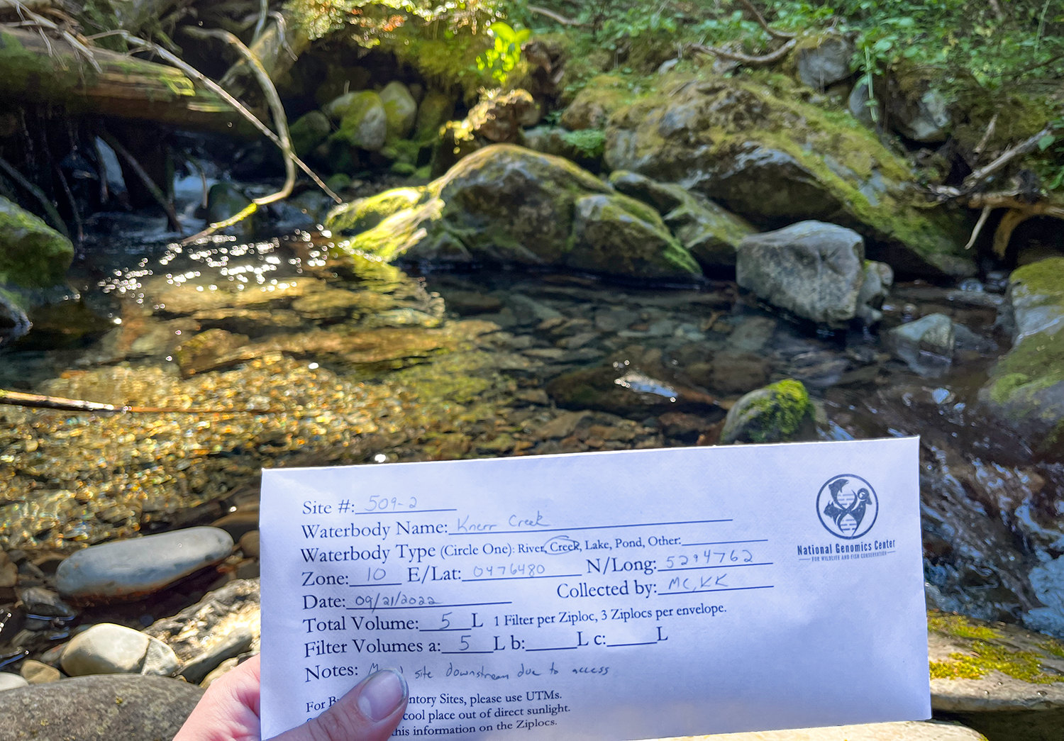 A hand holds a paper envelope with "National Genomics Center" markings in front of a forest stream listed as Knerr Creek.