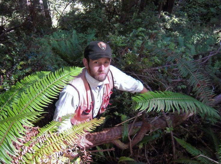 Bearded man with forestry vest on standing behind very tall ferns.