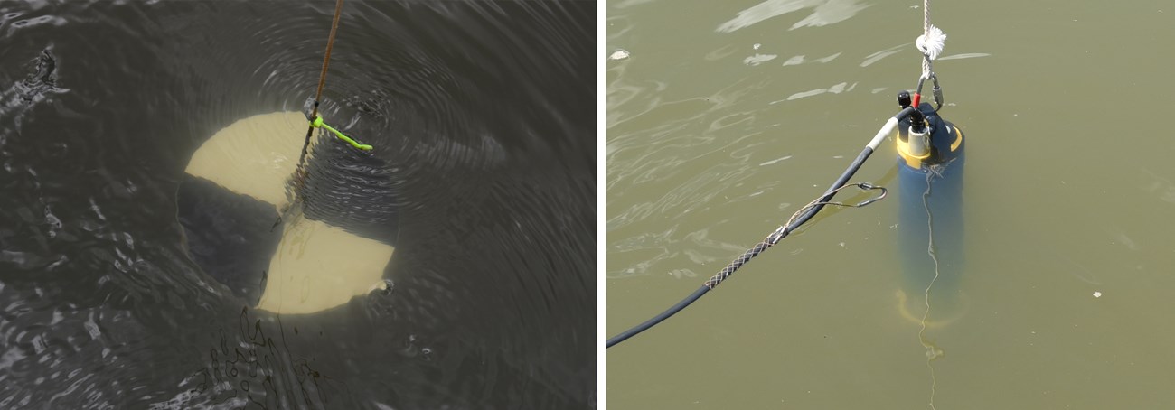 A black and white disk hangs in the water. A blue cyclinder hangs in the water.