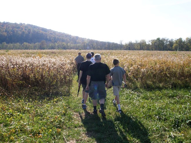 a group of adults walk on a grass path through a tall grass field.