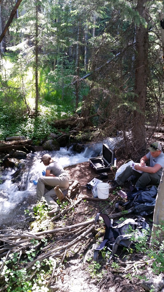 Two staff members on a stream bank with water filtering equipment to test for fish DNA