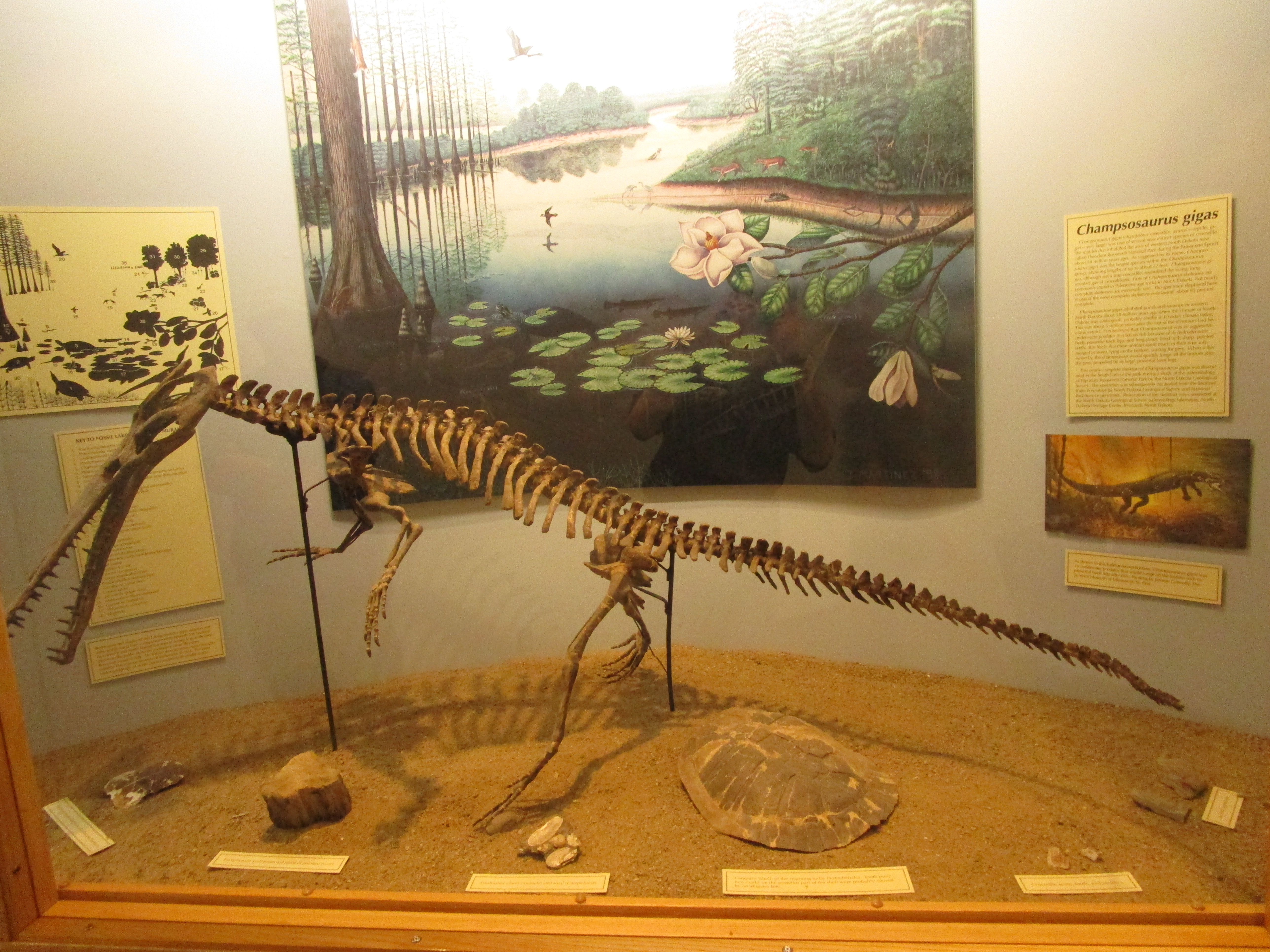 carnegie natural history museum prehistoric fish