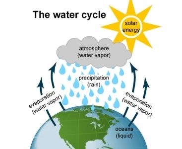 Illustrated process of the water cycle.