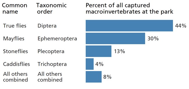Blue bar chart showing the larvae of "true flies" are the most common macroinvertebrate in park streams. Blue bar chart showing the larvae of "true flies" are the most common macroinvertebrate in park streams.
