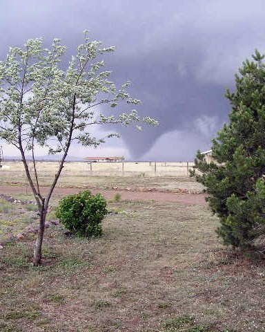 tornado beyond a building and some trees in the open grassland.