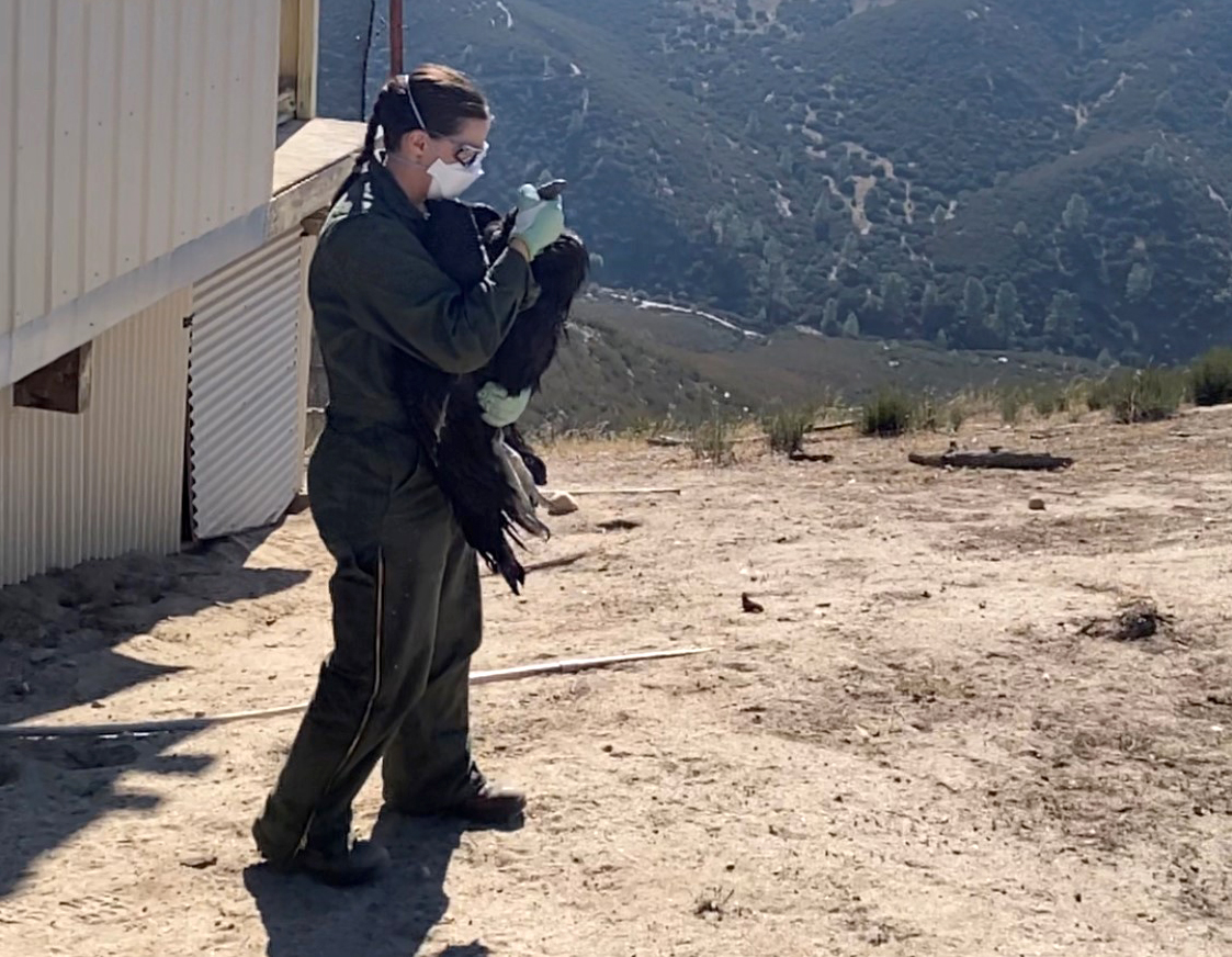 Falcon Bay Gun Club 2019