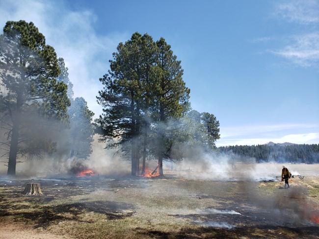 Firefighters conduct a prescribed burn in a grassy valley.