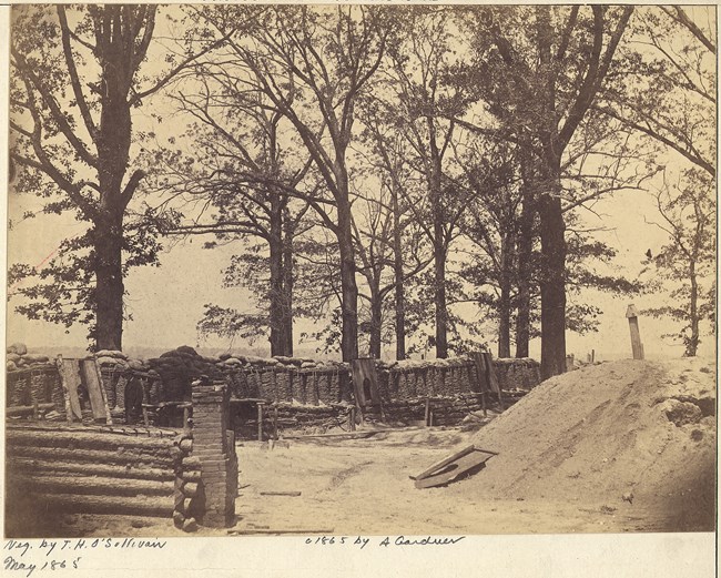 Black and white image of trees with a large dirt pile on the right, and a small wood and stone wall