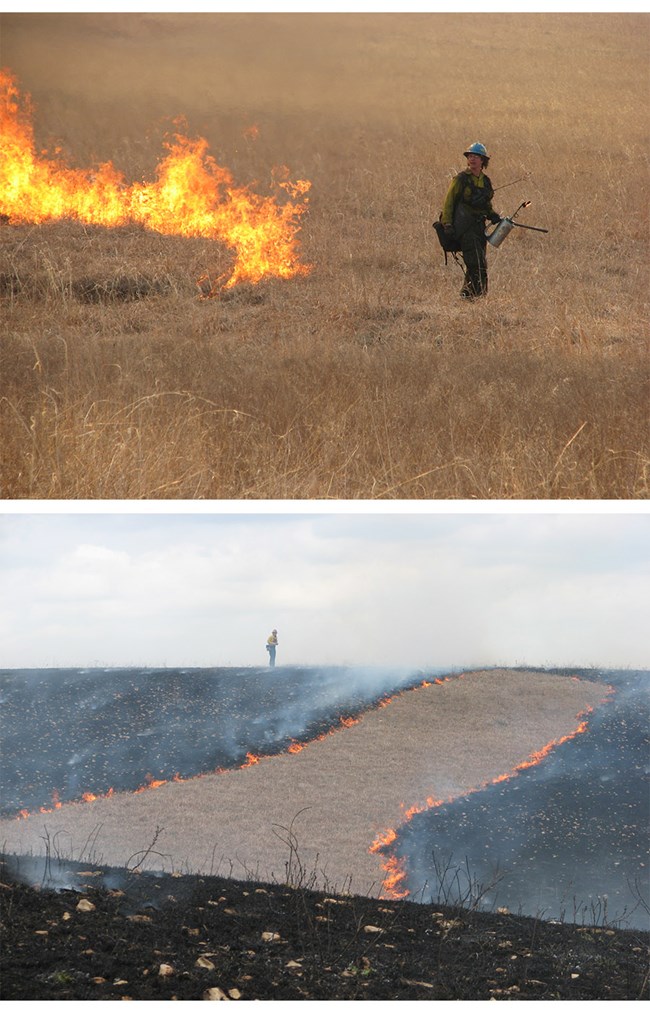 Images of wildland firefighter and line of flame