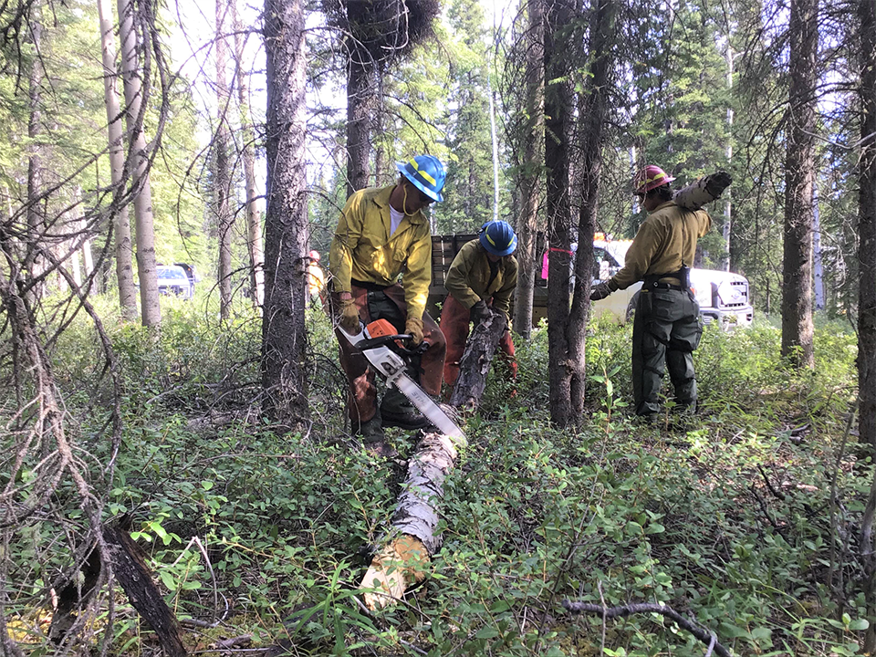 WRST HQ 2020 BuckingLog 3 people - NPS Photo Three firefighters cut felled trees with a chainsaw and carry off debris.