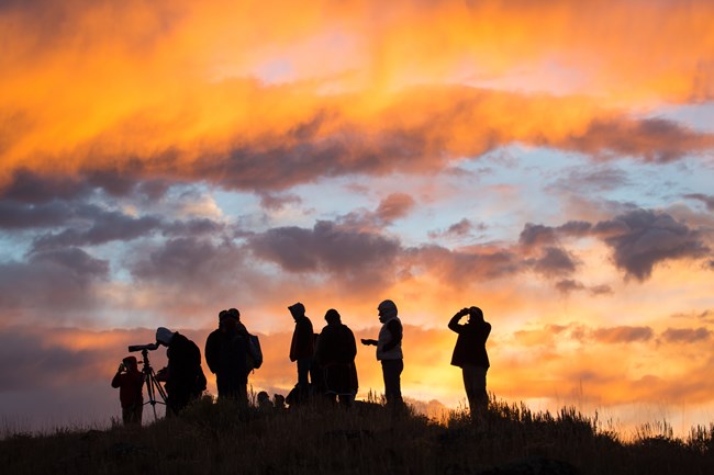 silhouettes of a group of people watching wildlife with orange sunrise in the background