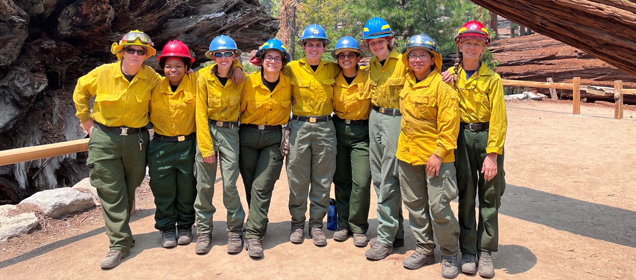 Members of a CORE crew gather in a sequoia grove. A group of women in wildland fire personal protective equipment (PPE) stand in a grove of sequoia trees.