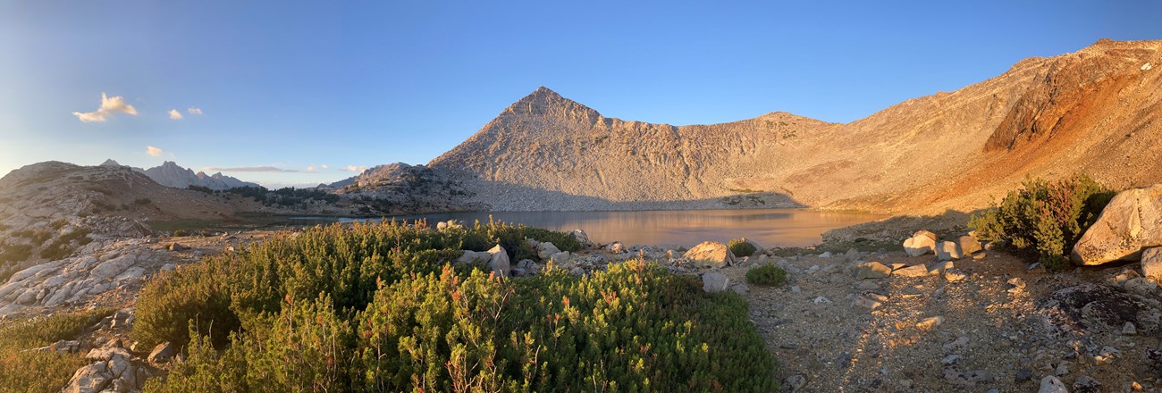 Low shrubby vegetation in foreground with alpine lake and sunset lighting barren granite slopes.
