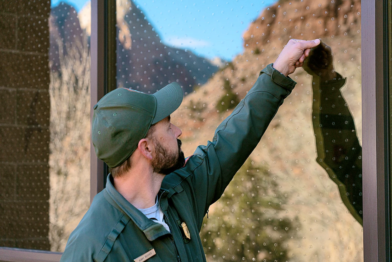 Nearly invisible dots Adam Reimer, in NPS uniform, reaches up towards one of hundreds of nearly invisible dots on a window that is reflectig the red-orange rock formations of Zion National Park.