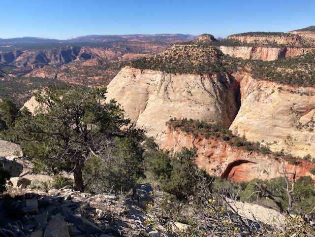 View of a desert landscape with canyons and brush