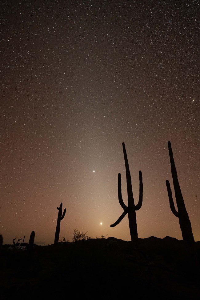 silhouettes of saguaro cacti stand out against a brilliant orange tinted night sky filled with stars