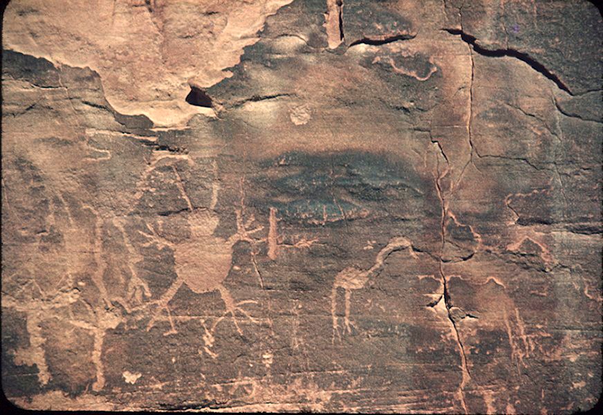 Animal petroglyphs carved into dark rock