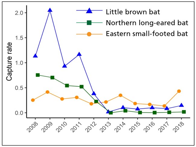A line graph showing capture rates for three Myotis bats. From 2008 to 2012 capture rates were highest for little brown bat, but 2013 to 2018 rates were highest for Eastern small-footed bat. Capture rates decreased for two species after WNS arrival.
