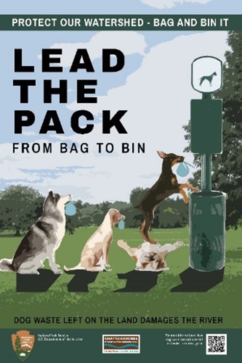The bag to bin poster developed for use in the park that reads: Lead the Pack from Bag to Bin. The poster shows three dogs (all of different breeds) lined up to drop their bagged waste into the bin. The first dog in line is standing on another dog's back.